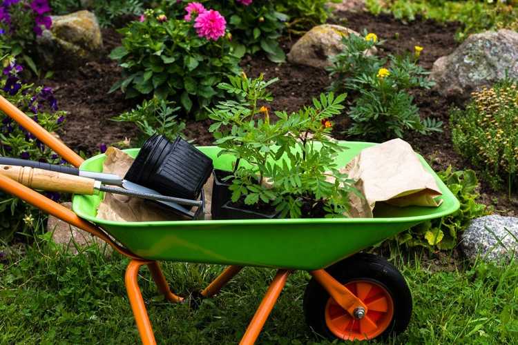 découvrez notre sélection de brouettes de jardinage idéales pour tous vos travaux de jardin. légères, robustes et faciles à manœuvrer, elles vous aideront à transporter terre, plantes et outils avec aisance. parfaites pour amateurs et professionnels du jardinage.