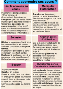 découvrez un cours efficace conçu spécialement pour les apprenants désirant progresser rapidement et maîtriser facilement de nouvelles compétences.
