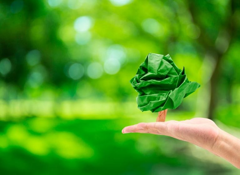 découvrez comment la durabilité influence positivement l'impact environnemental et social, en promouvant des pratiques responsables pour un avenir durable.